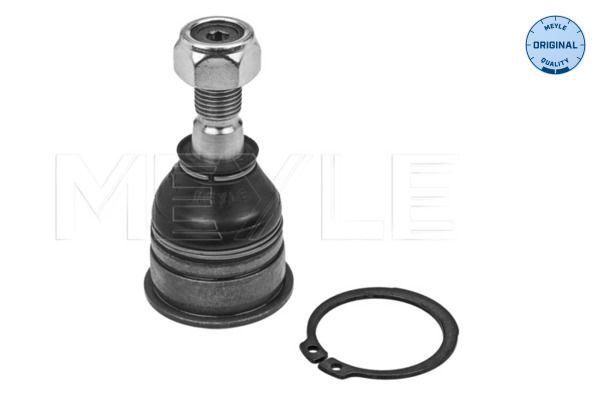 Trag-/Führungsgelenk