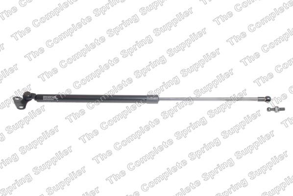 Gasfeder, Koffer-/Laderaum