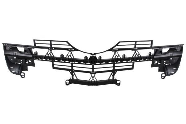 Halter, Kühlergitter