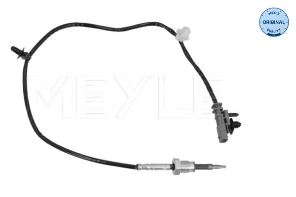 Sensor, Abgastemperatur