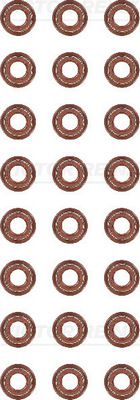 Dichtungssatz, Ventilschaft