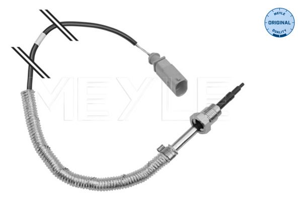 Sensor, Abgastemperatur