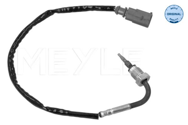 Sensor, Abgastemperatur