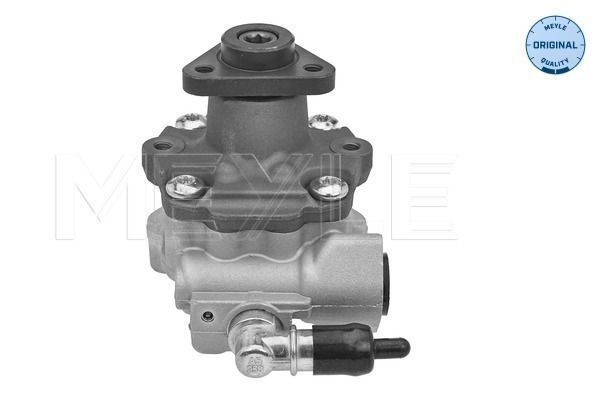 Hydraulikpumpe, Lenkung