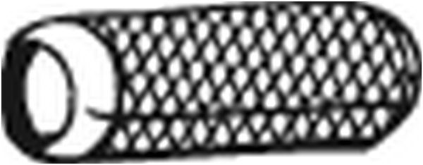 Schalldämpfer des Auspuffsystems