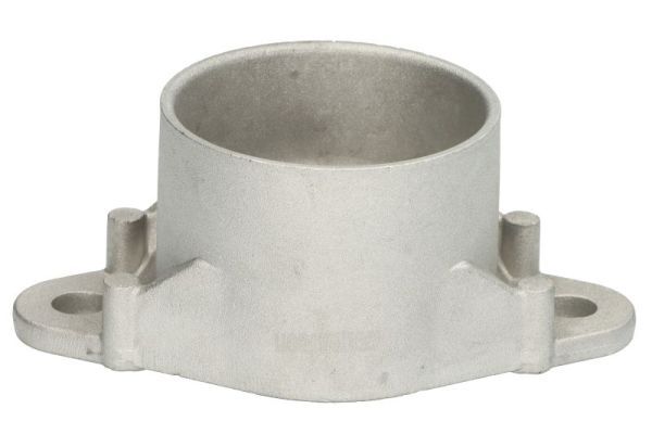 Federbeinstützlager