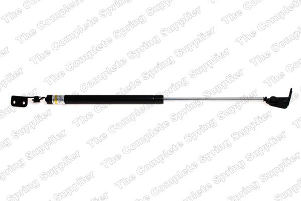 Gasfeder, Koffer-/Laderaum