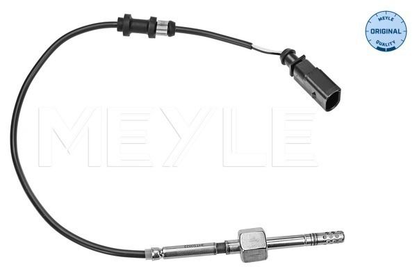 Sensor, Abgastemperatur