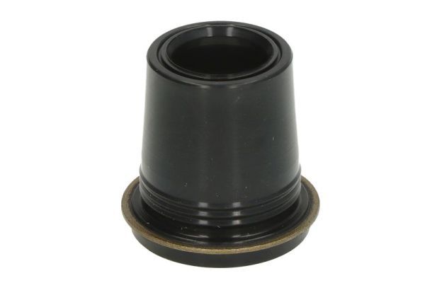 Dichtring, Einspritzventil