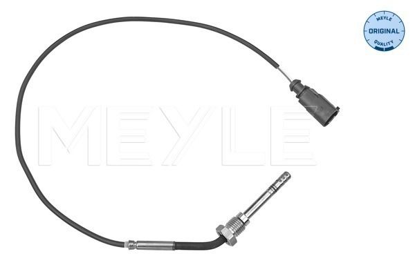 Sensor, Abgastemperatur