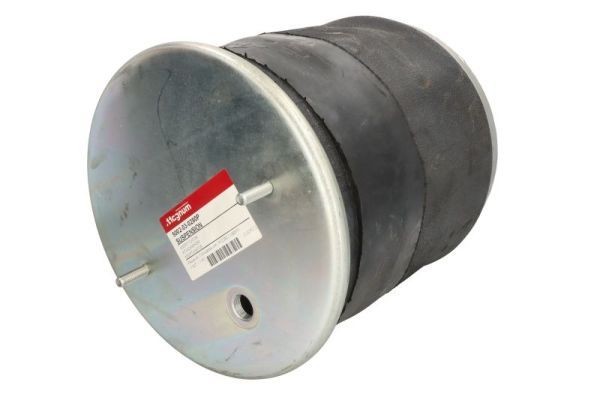 Federbalg, Luftfederung