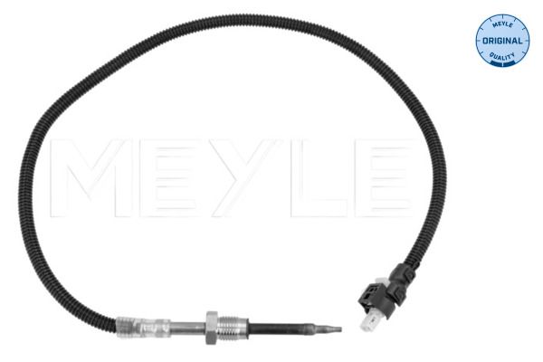 Sensor, Abgastemperatur