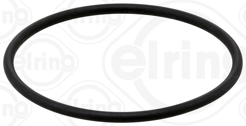 Dichtring