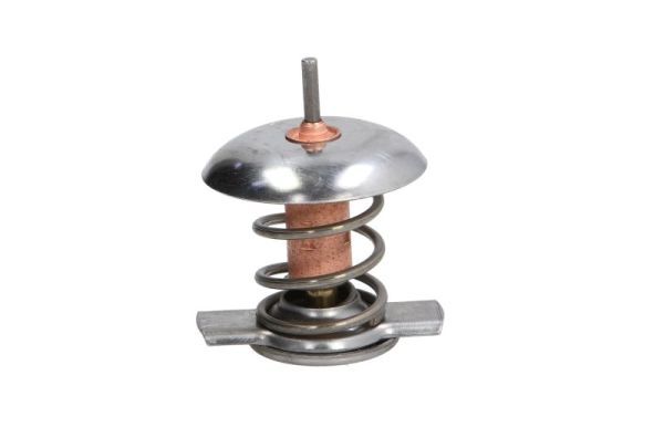 Thermostat, Kühlmittel
