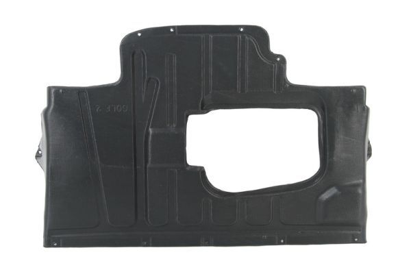 Motor- / Unterfahrschutz