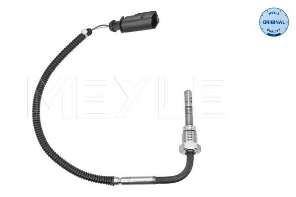 Sensor, Abgastemperatur