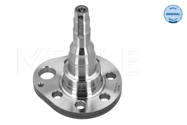 Achsschenkel, Radaufhängung