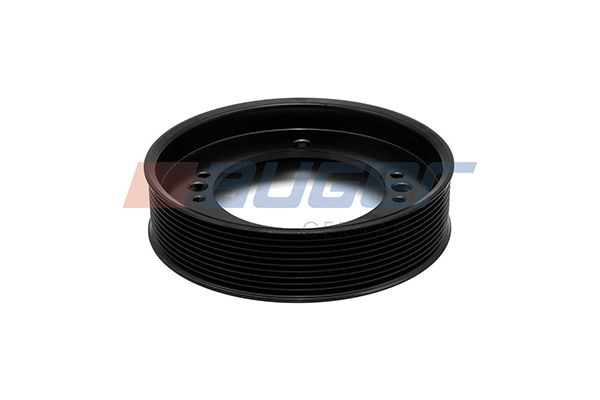 Riemenscheibe, Wasserpumpe