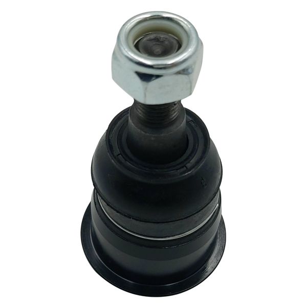 Trag-/Führungsgelenk