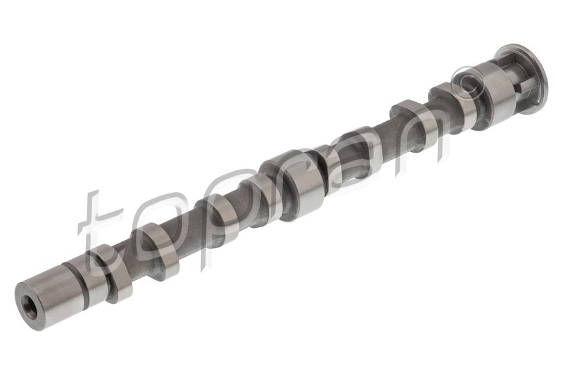 Gasfeder, Koffer-/Laderaum