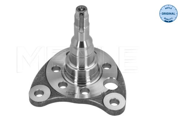 Achsschenkel, Radaufhängung