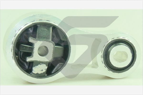 Halter, Motoraufhängung