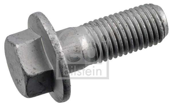 Schraube, Bremssattel