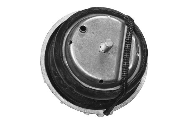 Halter, Motoraufhängung