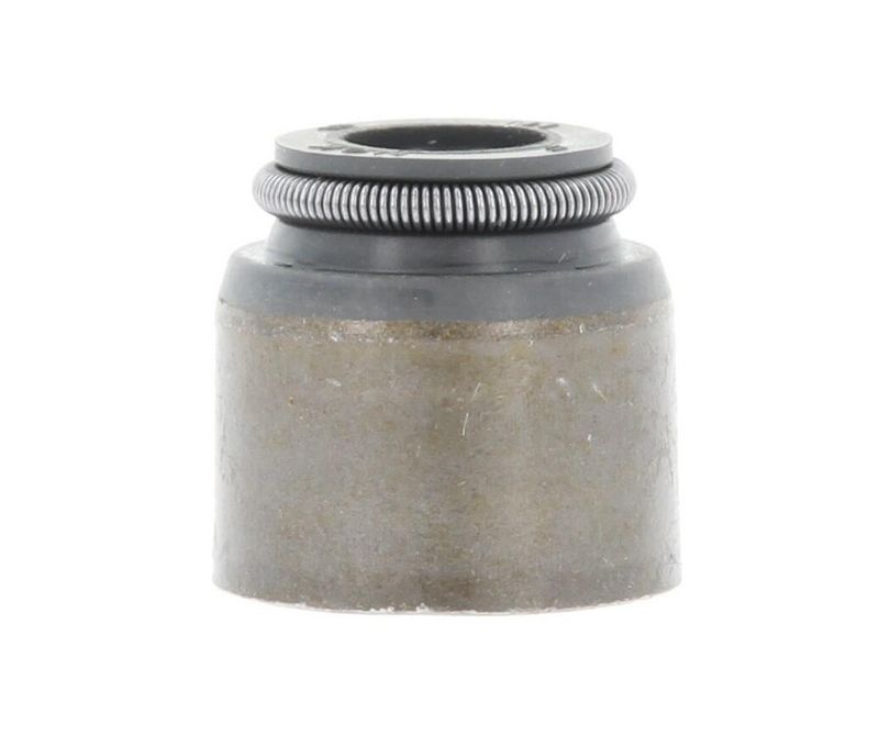 Dichtring, Ventilschaft