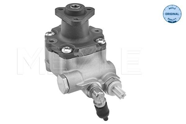 Hydraulikpumpe, Lenkung