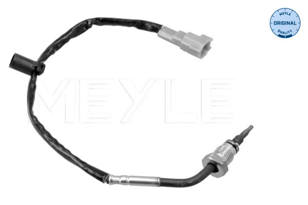 Sensor, Abgastemperatur