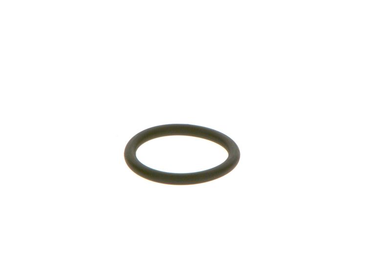 Dichtring