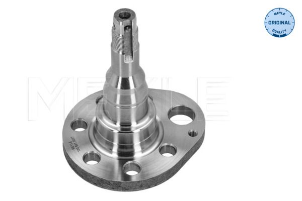 Achsschenkel, Radaufhängung