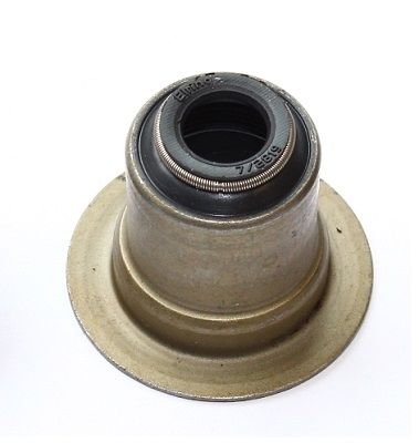 Dichtring, Ventilschaft