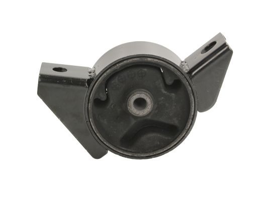 Halter, Motoraufhängung