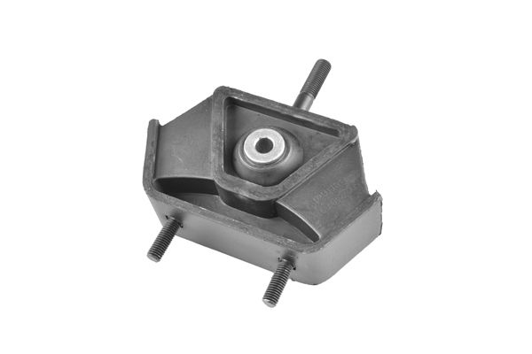 Halter, Motoraufhängung