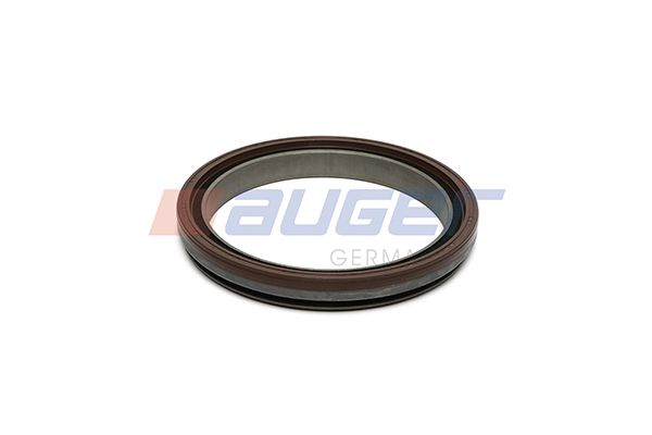 Dichtung, Thermostatgehäuse