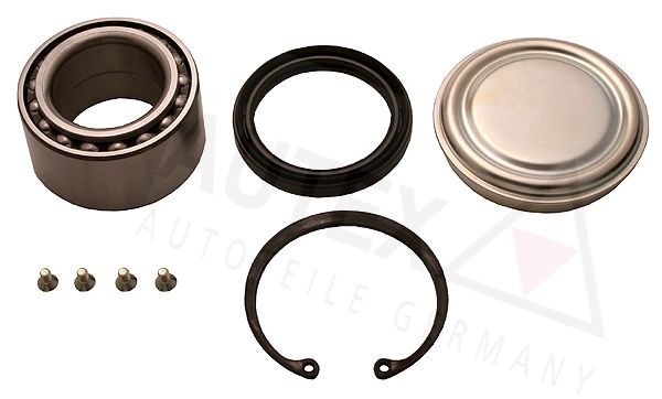 Federbeinstützlager