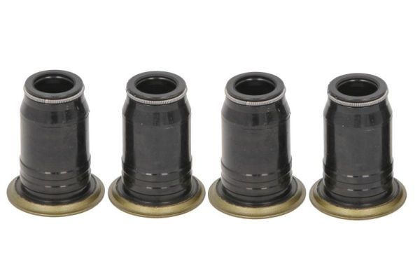 Dichtring, Einspritzventil