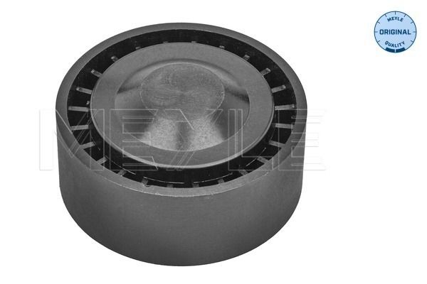 Umlenk-/Führungsrolle, Keilrippenriemen