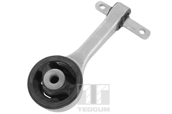 Halter, Motoraufhängung