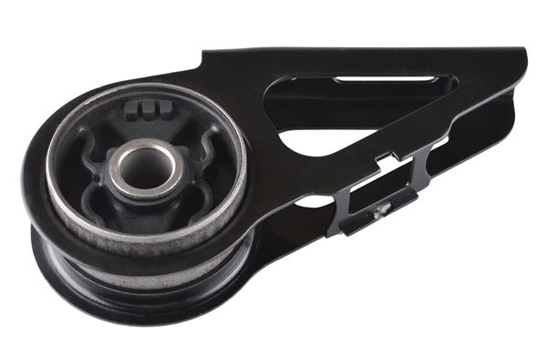 Halter, Motoraufhängung