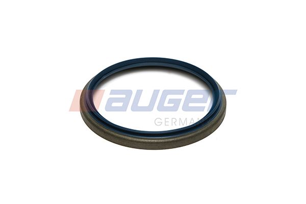 Dichtring, Achsschenkel