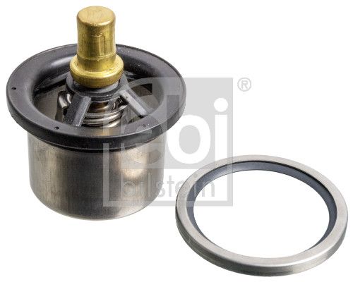 Thermostat, Kühlmittel
