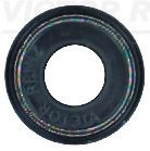 Dichtring, Ventilschaft