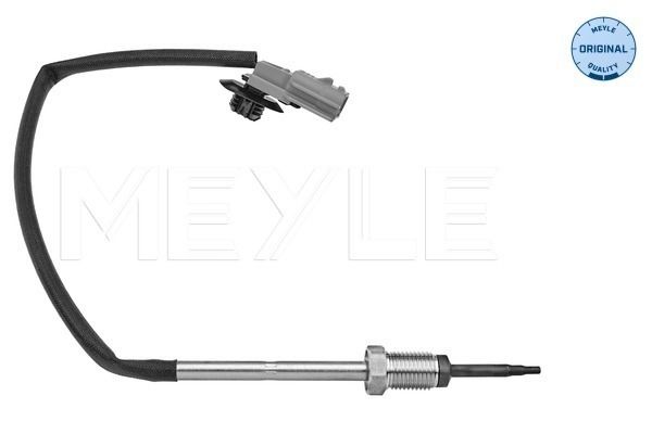 Sensor, Abgastemperatur