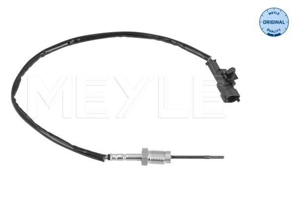 Sensor, Abgastemperatur