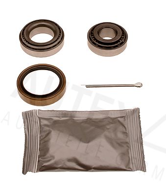 Federbeinstützlager