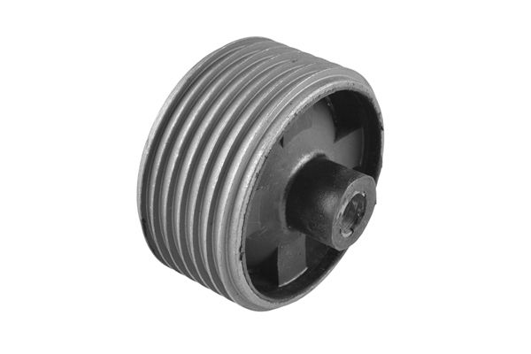 Halter, Motoraufhängung