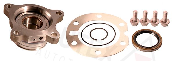 Federbeinstützlager